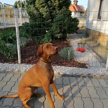 Angelic And Bikepoint Sukoro